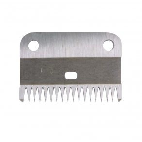 Hauptner - underskr 18 tand